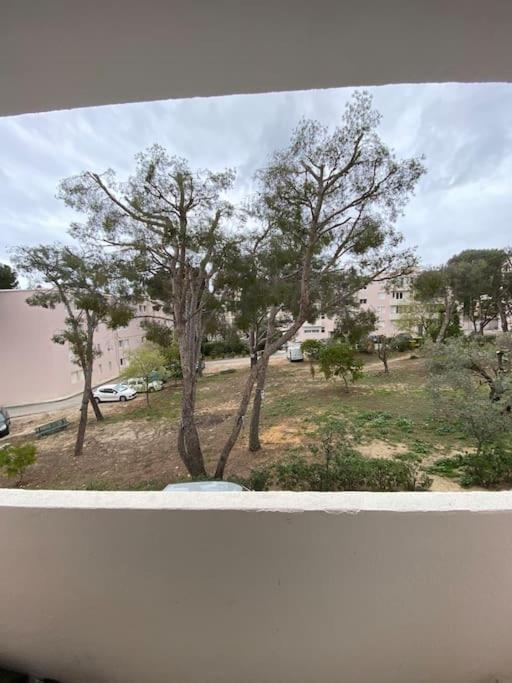 T3 La Ciotat Plage Ngoại thất bức ảnh